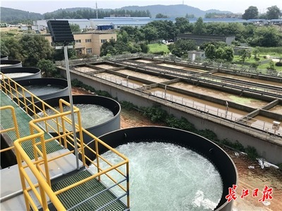 九峰明渠臨時(shí)污水處理設(shè)施高效運(yùn)行，顯著削減入東湖污水量