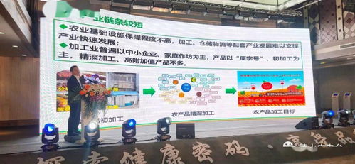 2020中國黑色食品產(chǎn)業(yè)發(fā)展黟縣峰會開幕 北京軟件開發(fā)